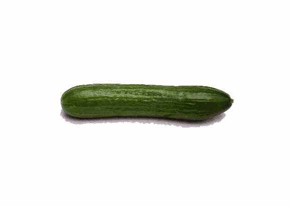 خیار